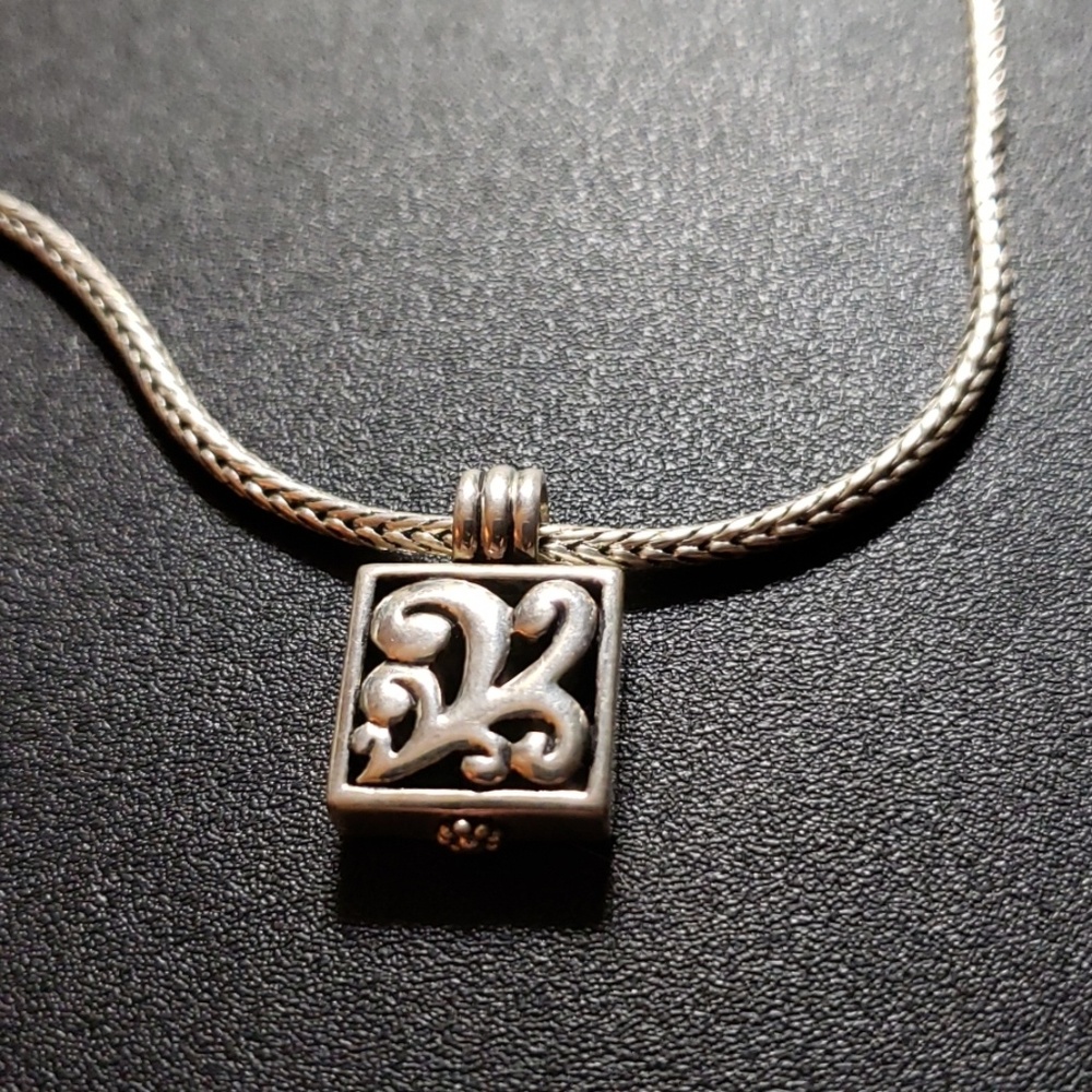 Sterling Barse chain and pendant